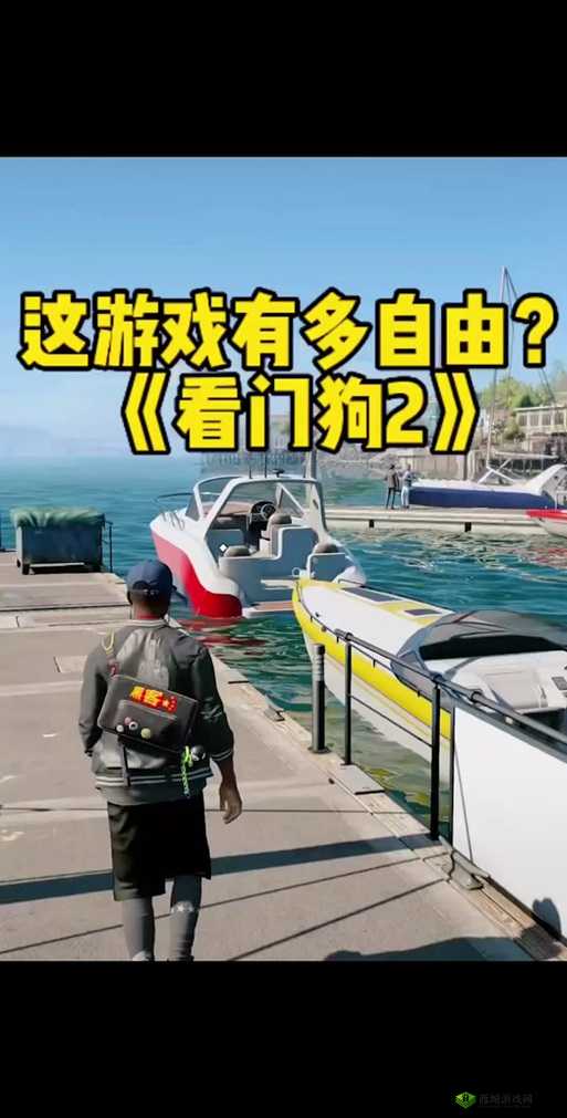 看门狗躲避警察追捕与成功逃脱的独家心得分享