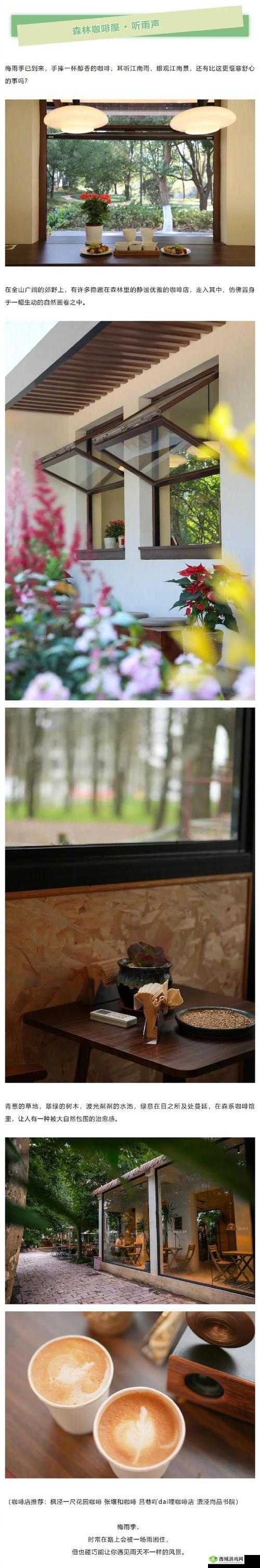 中日乱码卡一卡二仙踪林：独特体验之所在