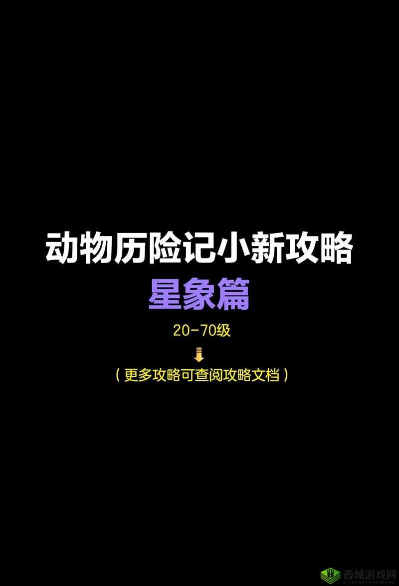 上新游啦 1k2k舞动精灵宠物全方位攻略：培养技巧与要点解析