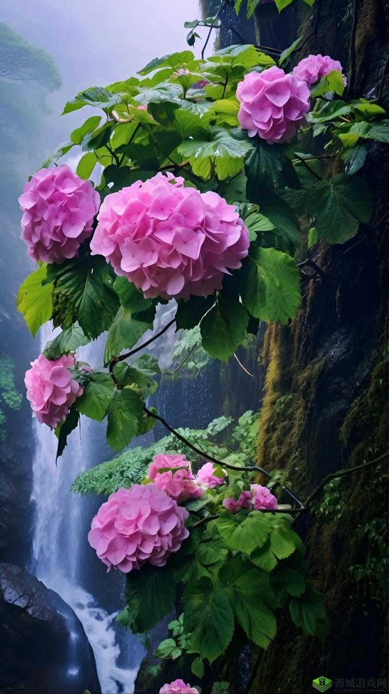 内射老屄的独特表述及相关探讨