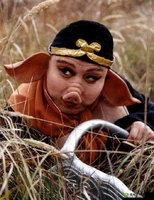 八戒八戒：畅享免费高清视频资源