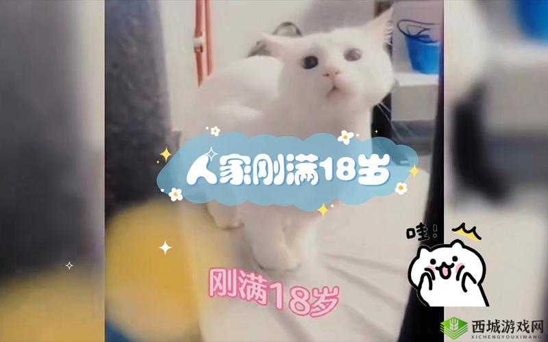 请确保您已年满 18 岁：这很重要