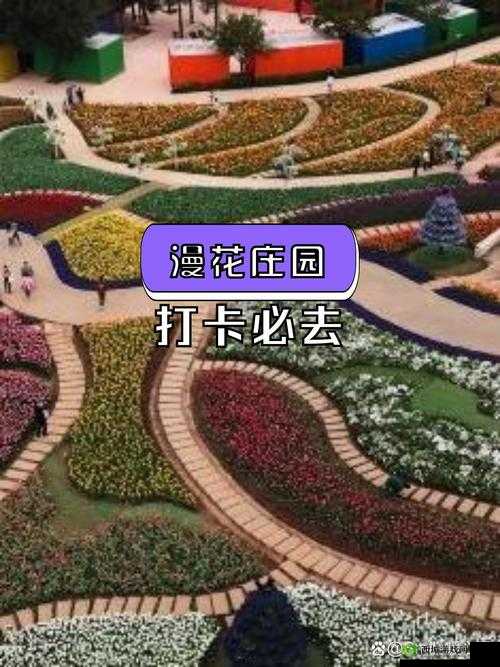 樱花战场：新奇玩法深度探索