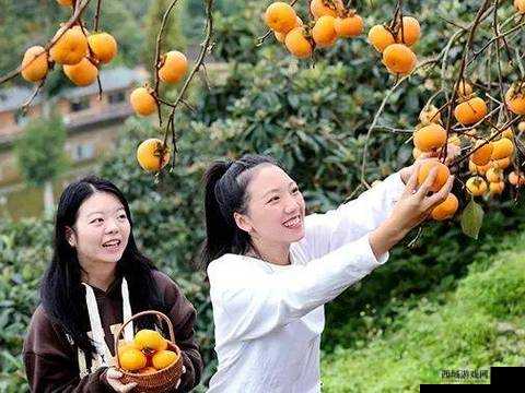 二人世界拔萝卜:在田园时光中享受温馨时光