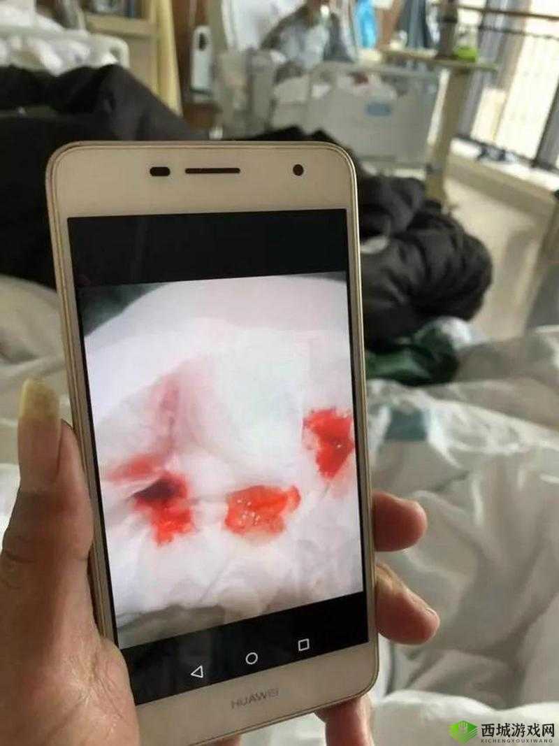 欧美 videos 首次出血相关内容