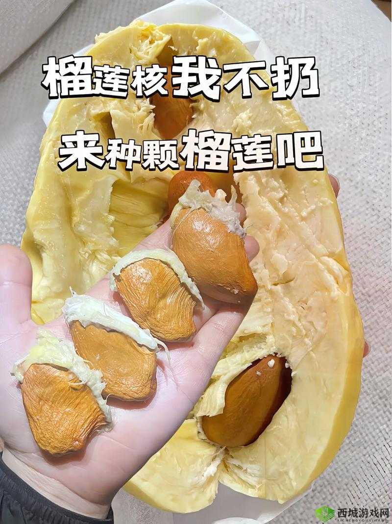 榴莲app 推广链接:快来体验榴莲的独特魅力