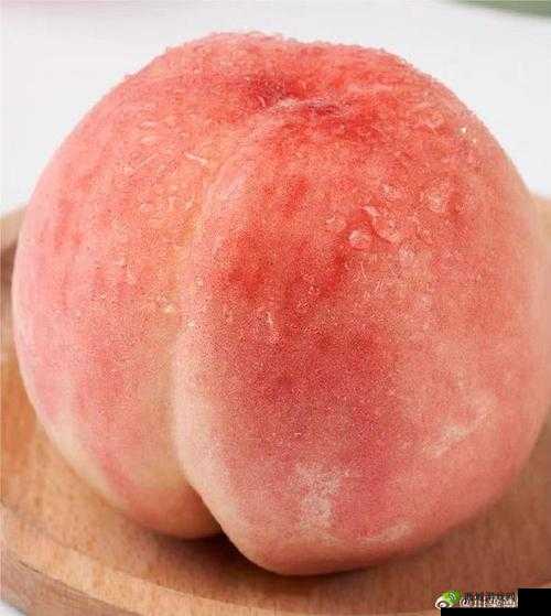 蜜桃 XXX 免费:快来体验吧