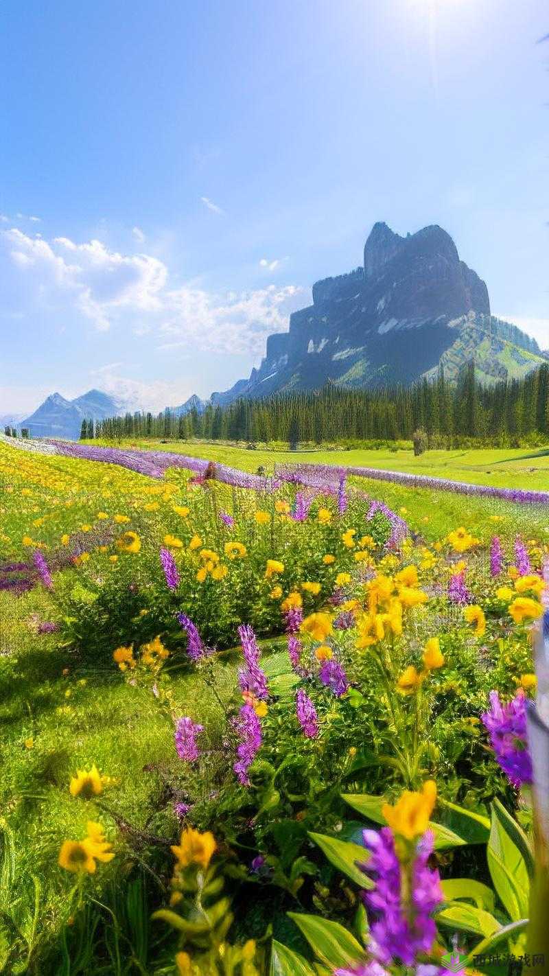 野花日本大全免费观看完整版 10:一场视觉盛宴