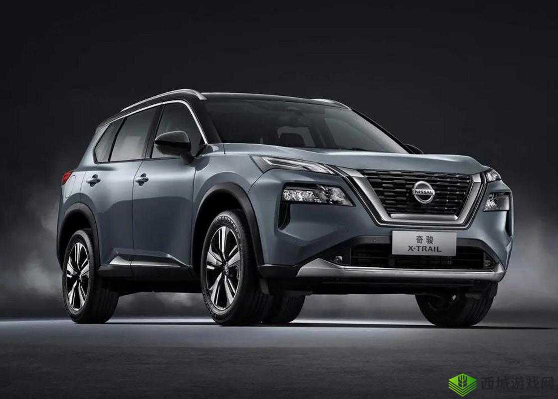 精品日产一匹二匹三匹四匹五匹将免费:惊喜大放送