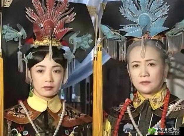 尔康令妃大战花园:惊心动魄的宫廷对决