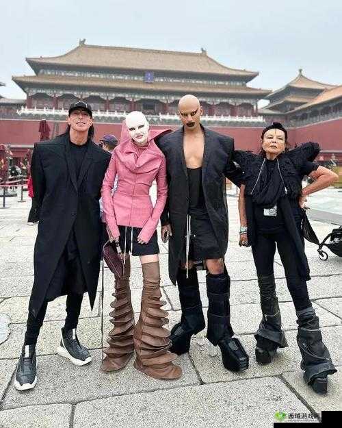 九一妻友:相伴一生的伙伴