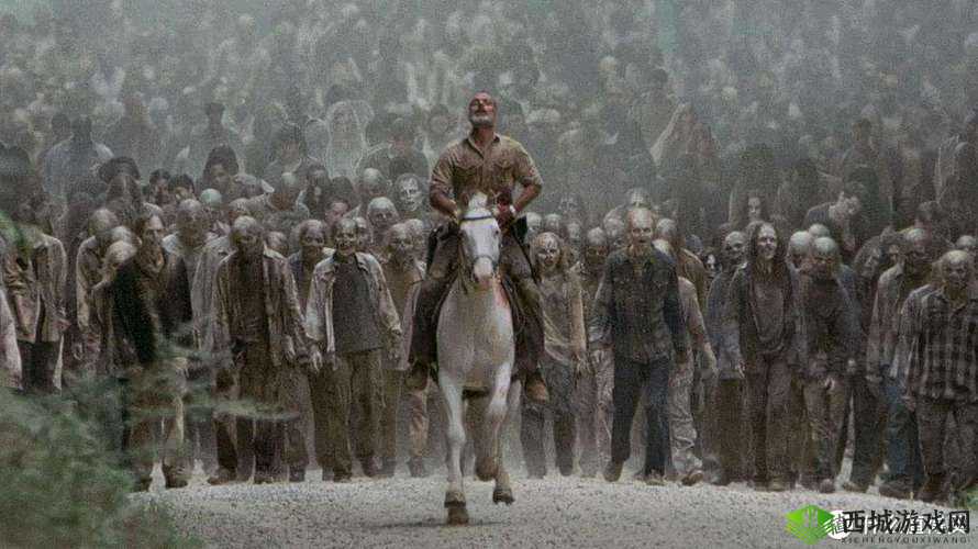 战争的艺术与人性的试炼，以人间地狱为镜