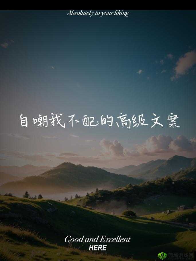 偶像经理人，梦想与现实的交织，经营偶像的甜酸苦辣