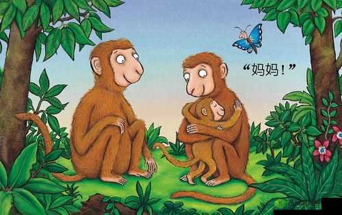 男女生猴子该不该盖被子：引发的有趣思考与探讨