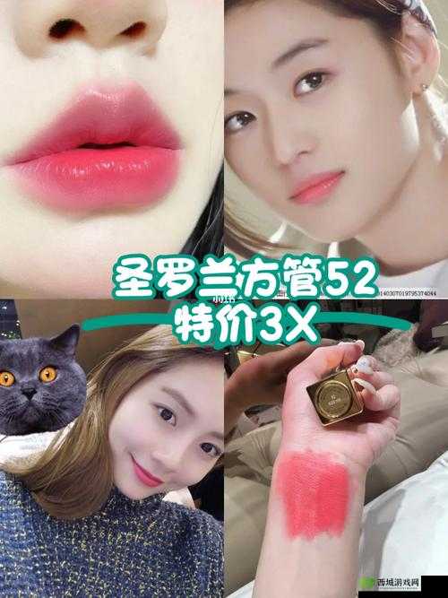 Ysl蜜桃棕调色视频 ：教你轻松打造迷人妆容秘籍