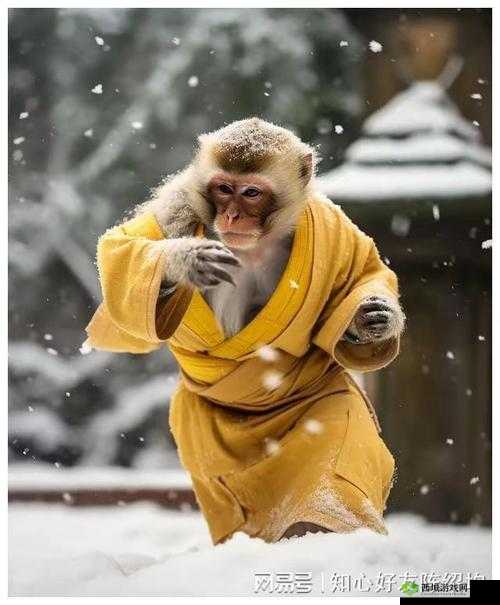 二人生猴子免费观看：精彩剧情不容错过