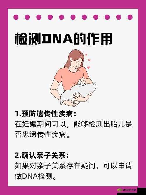 母亲的 DNA 和儿子的 DNA 是一样的吗：深入探究亲子遗传的奥秘