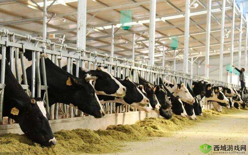 人畜禽CORPORATION 在线咨询:解决养殖相关的疑难杂症