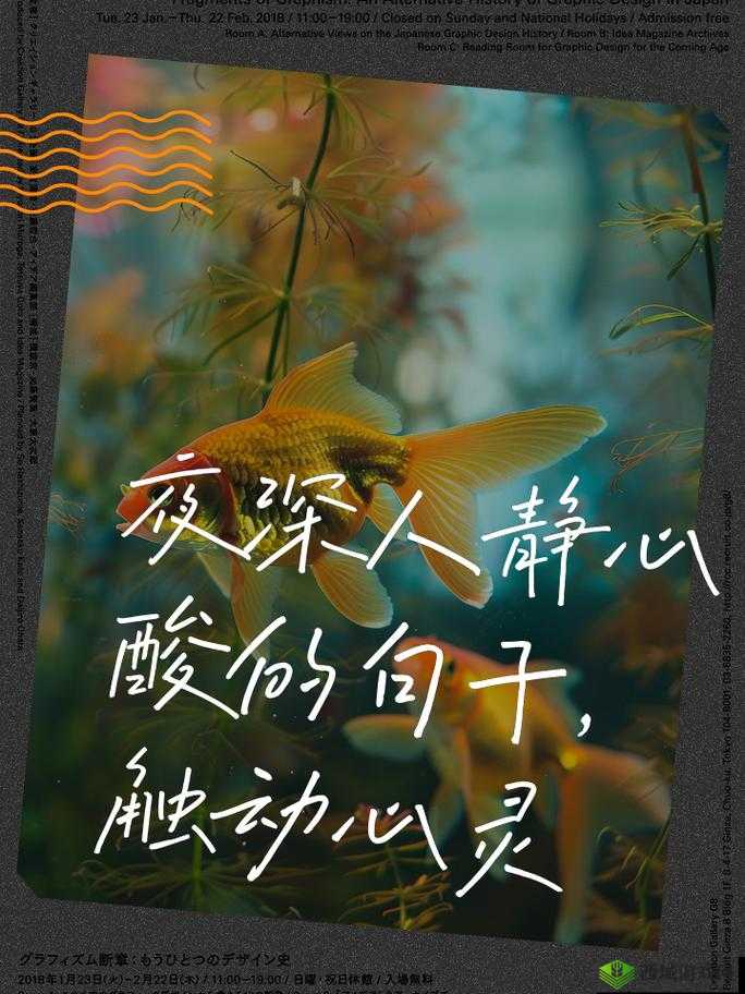 夜深了请准备好纸巾:一场触动心灵的深夜之旅即将开启