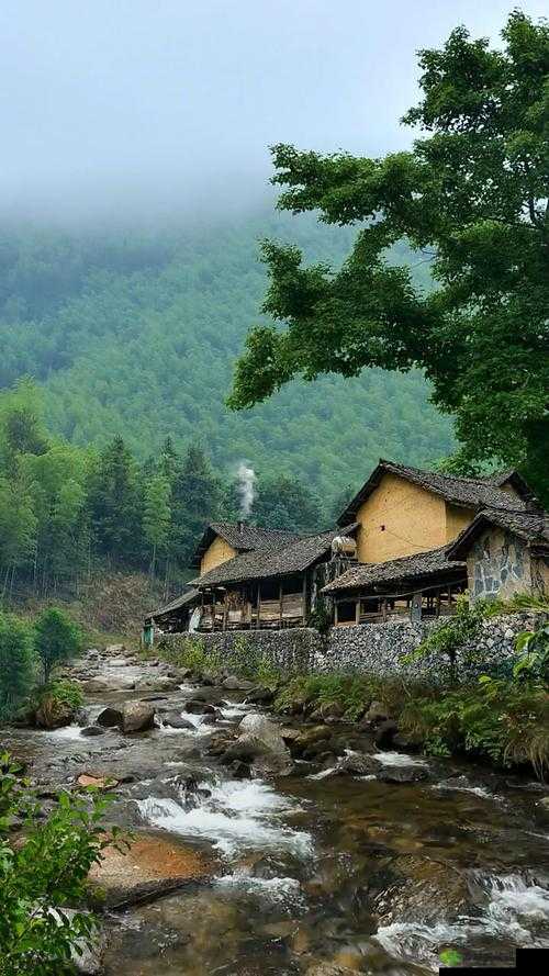 东北山村情事:淳朴民风背后的悲欢离合与真情故事