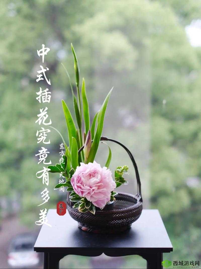 插花弄玉曲径通幽又重新上线了:带你领略全新魅力与精彩