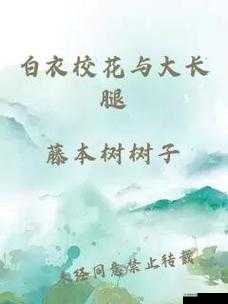 白衣校花与大长腿小说:一段充满浪漫与传奇的青春故事