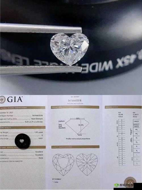 e 色 vvs1 的钻戒成色怎么样：详细解析与专业评估