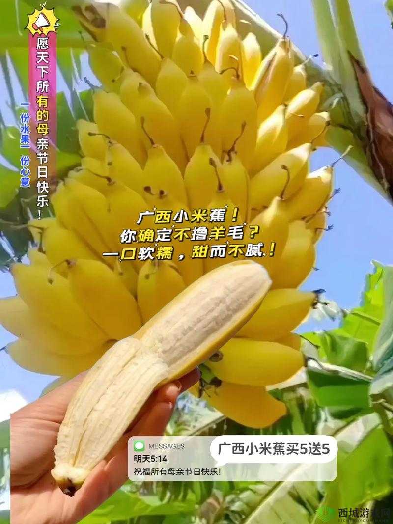 香蕉和忘忧草对焦虑的影响成片已正式发布：揭开焦虑改善的神秘面纱