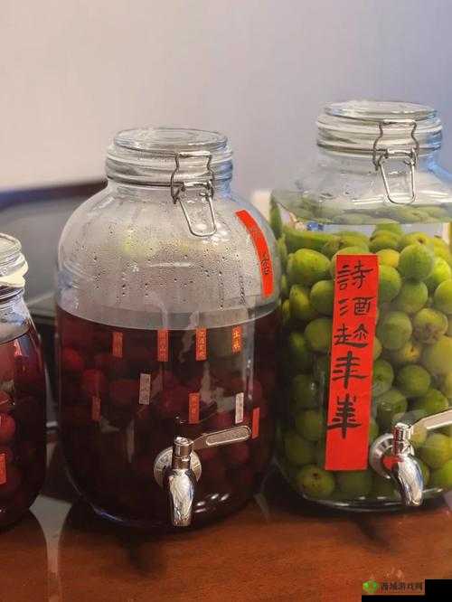 江湖悠悠六级酒材料获取秘籍，解锁酿酒新境界