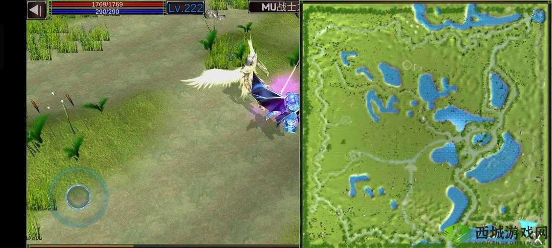 XZL 仙踪林网站免费入口欢迎您：优质内容与您共享