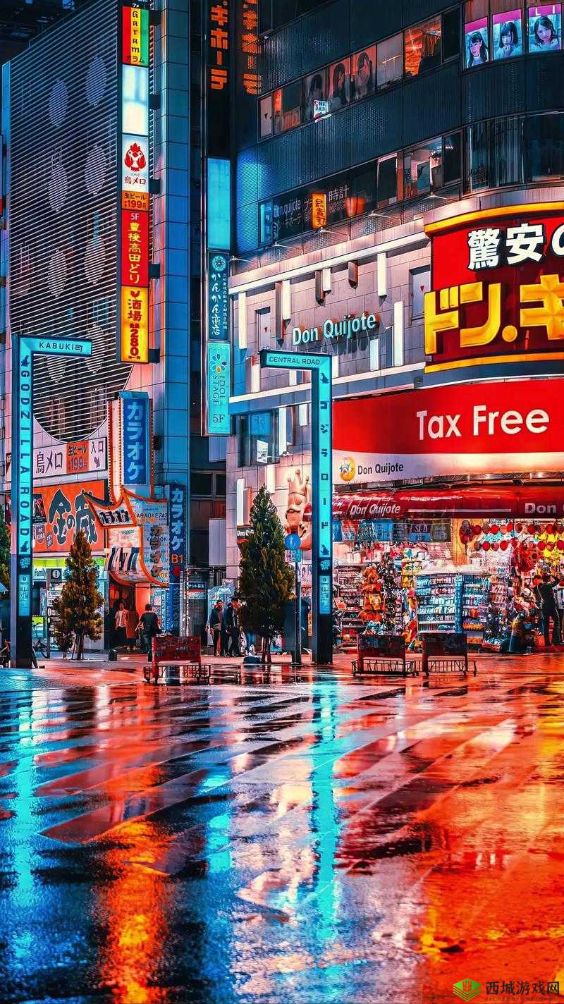 xxhxx 日本 69：一场跨越文化的独特体验