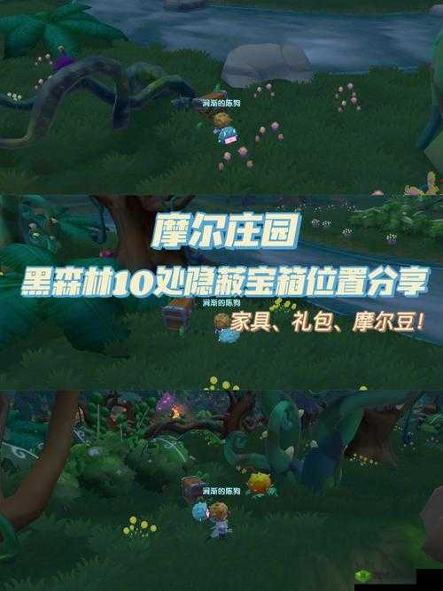 摩尔庄园黑森林,揭秘隐藏宝箱的奇妙之旅