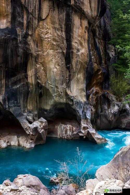 国偷自愉自产产区第 91 区：探索未知的神秘之地