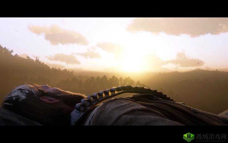 荒野大镖客2死亡惩罚与死亡机制介绍,资源管理的重要性与策略