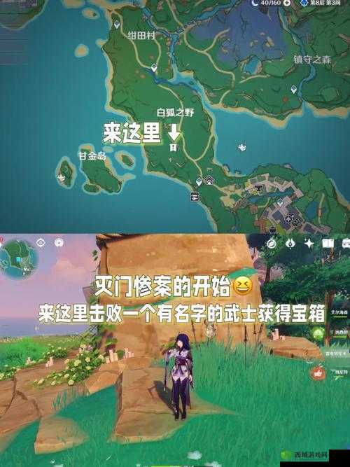 原神恒久之约石壁任务攻略,调查石壁上的灌木叩几下?