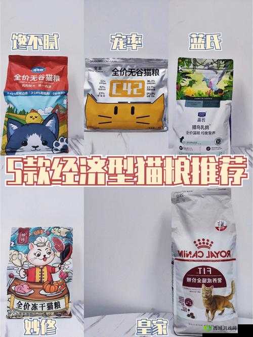 丰裕纵满 2588 港版：一款极具特色的产品介绍