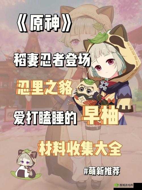 原神于狱中绽放之花任务攻略，高效管理与资源利用的艺术