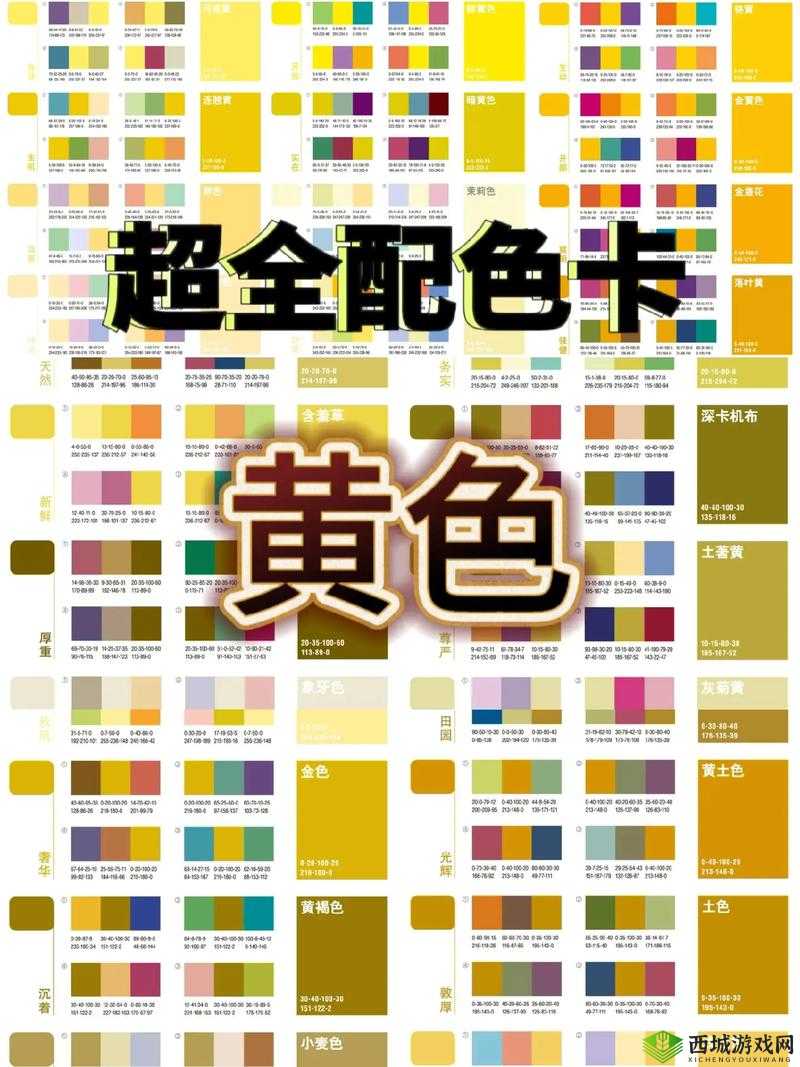 60 一级黄色：探索其独特的色彩特质与魅力所在