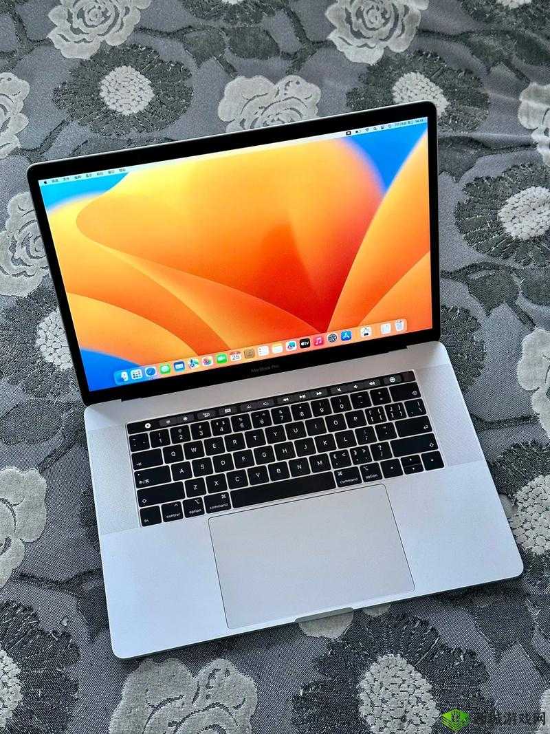 18 岁 macbookpro 特点-功能强大性能卓越外观时尚备受青睐