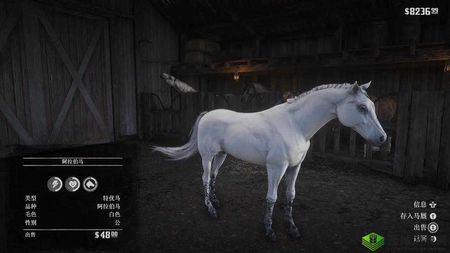 荒野大镖客2阿拉伯马,捕捉与驯服的传奇之旅