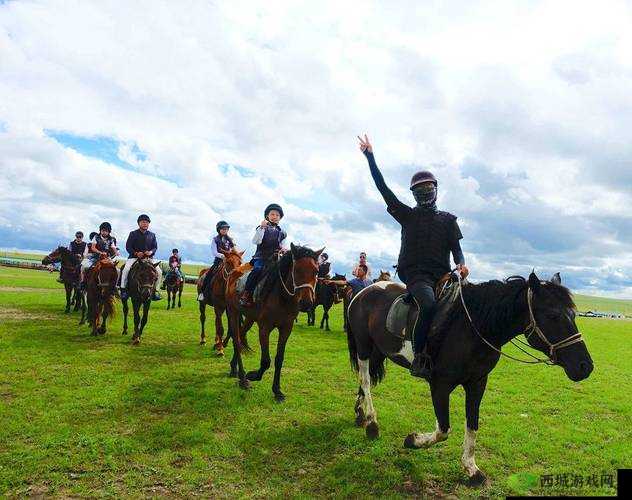深入交流骑马:探索马背上的奇妙世界