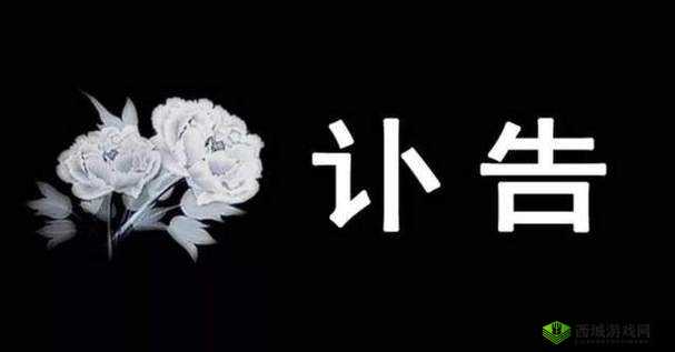 已满十八带好纸巾从此转人新闻:这到底是怎么回事呢