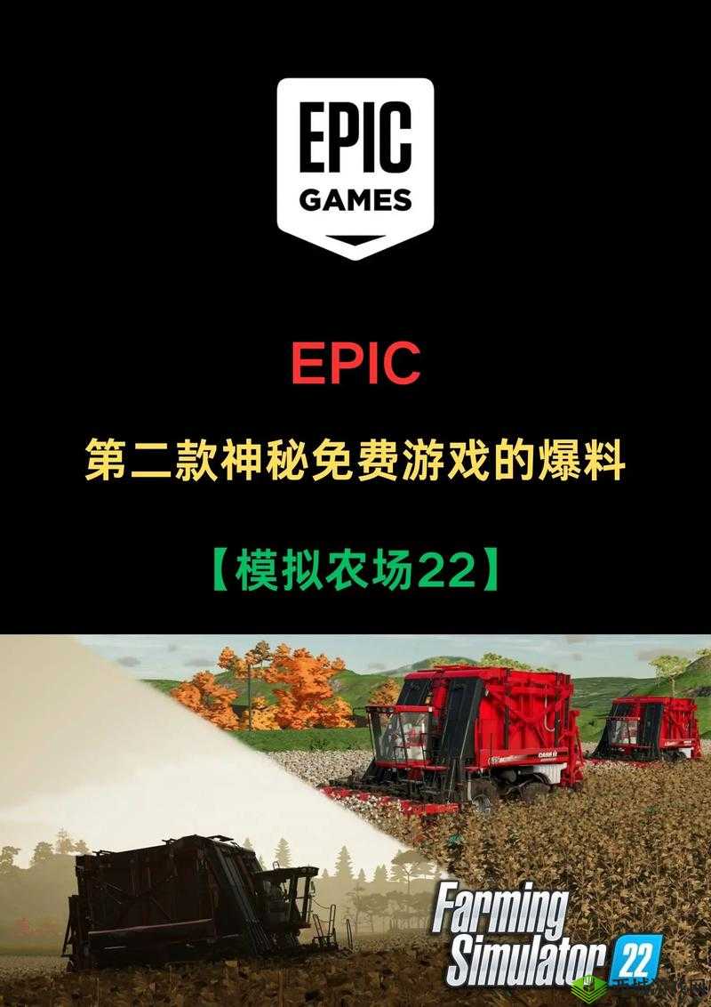 911 爆料网 github：一个充满神秘与争议的平台