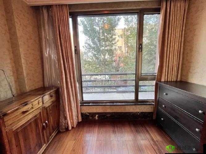 又大又长又租又大的房子叫什么：究竟是怎样的存在