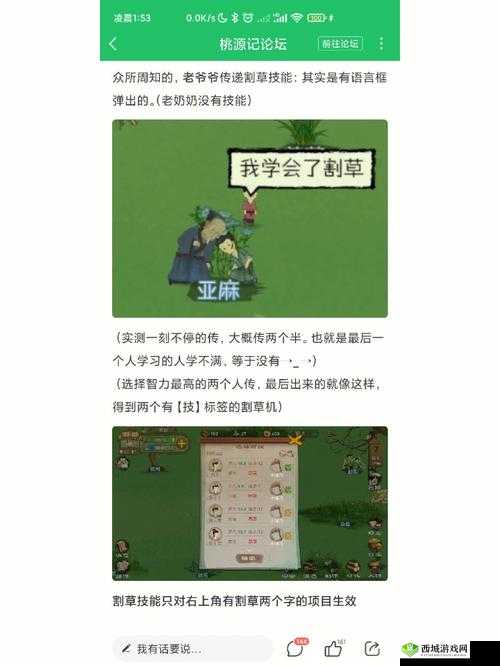 桃源记新手飞跃指南,解锁快速发展秘籍