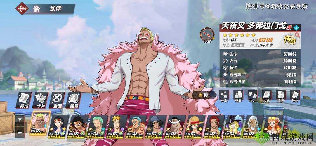 航海王热血航线修行之路，探索与挑战的奇幻之旅