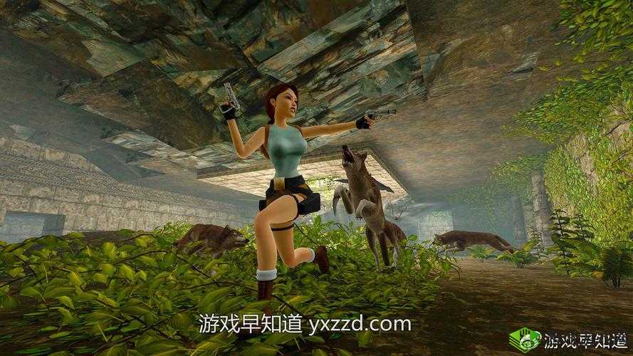 Xbox 在线观看高清视频教程:轻松享受极致视觉体验