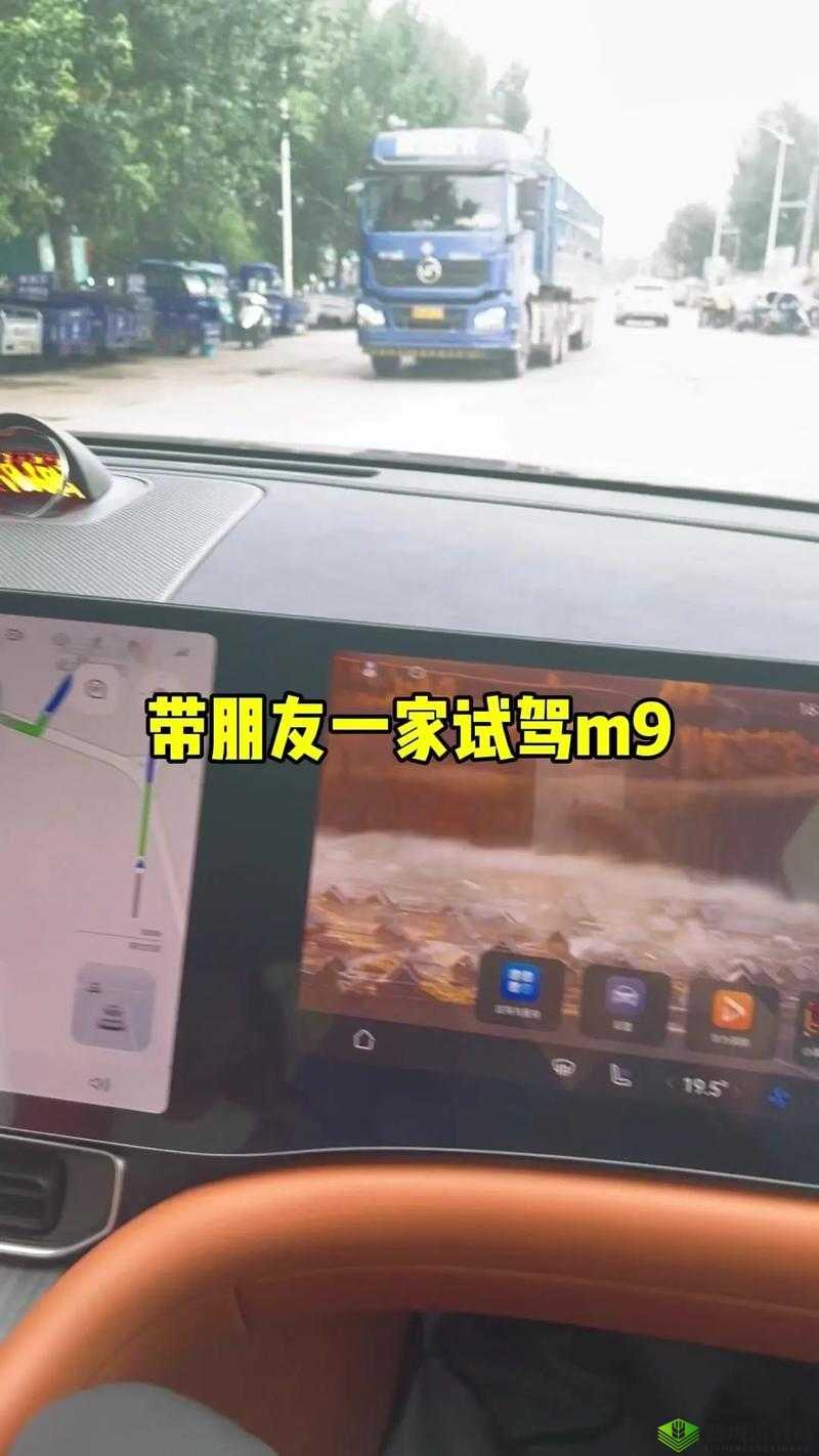 开车疼痛有声音免费下载网站：提供极致驾驶体验