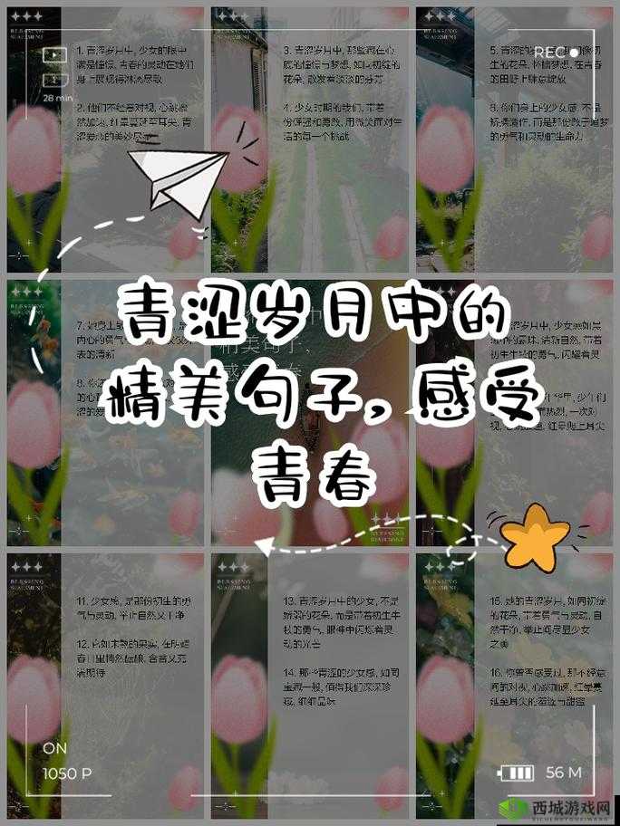 岁岁常欢愉校园 1V1 结局：青春爱恋的圆满落幕与未来展望