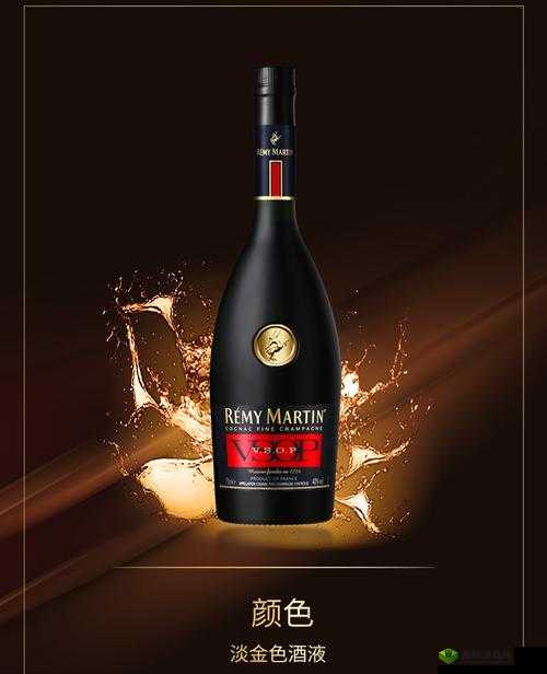 欧版人马 VSOP：独特品味与非凡享受的经典演绎